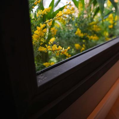 Muchtek Foa 29sept 8