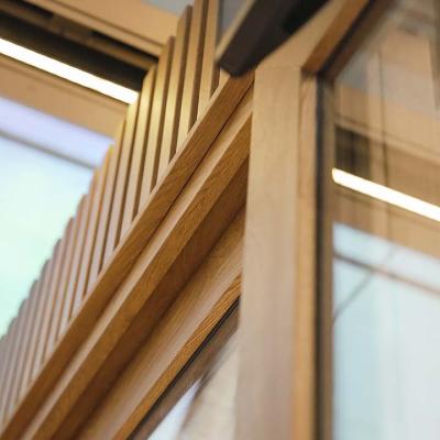 Muchtek Studioparadiso 54