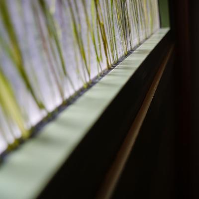 Muchtek Foa 29sept 64