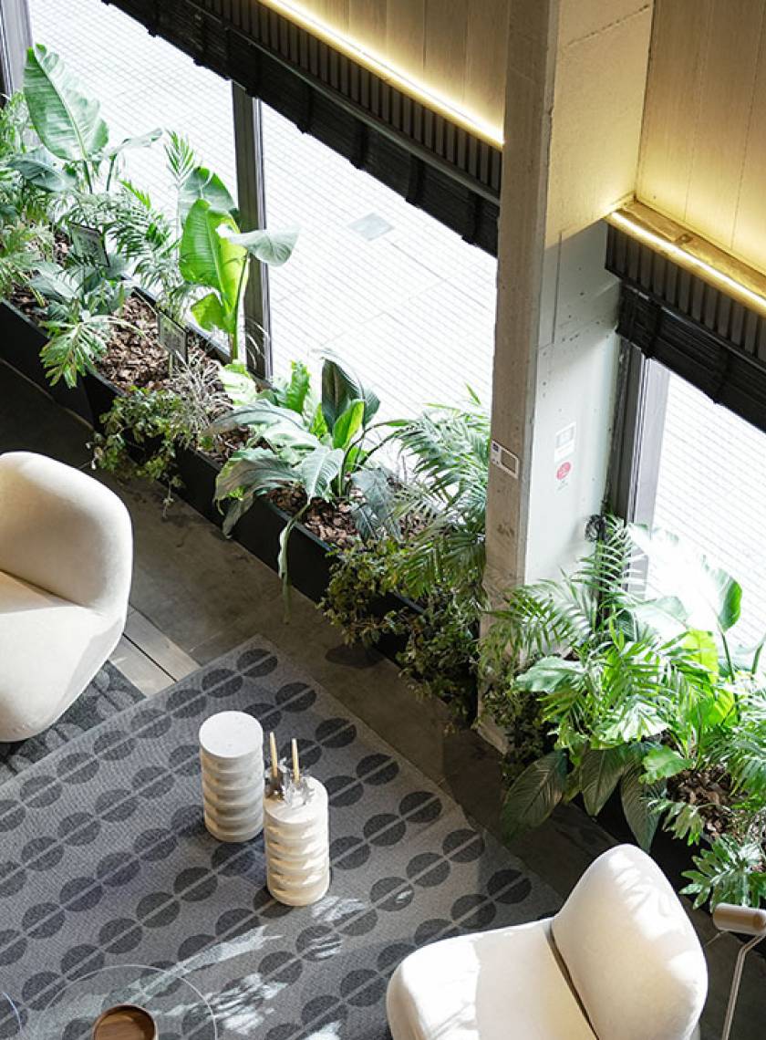 DÍA MUNDIAL DEL AHORRO DE ENERGÍA  La energía más valiosa es la que no se desperdicia